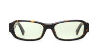 tortoise stelle