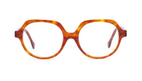 tortoise zucca