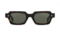 tortoise stelle