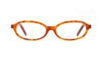 tortoise zucca