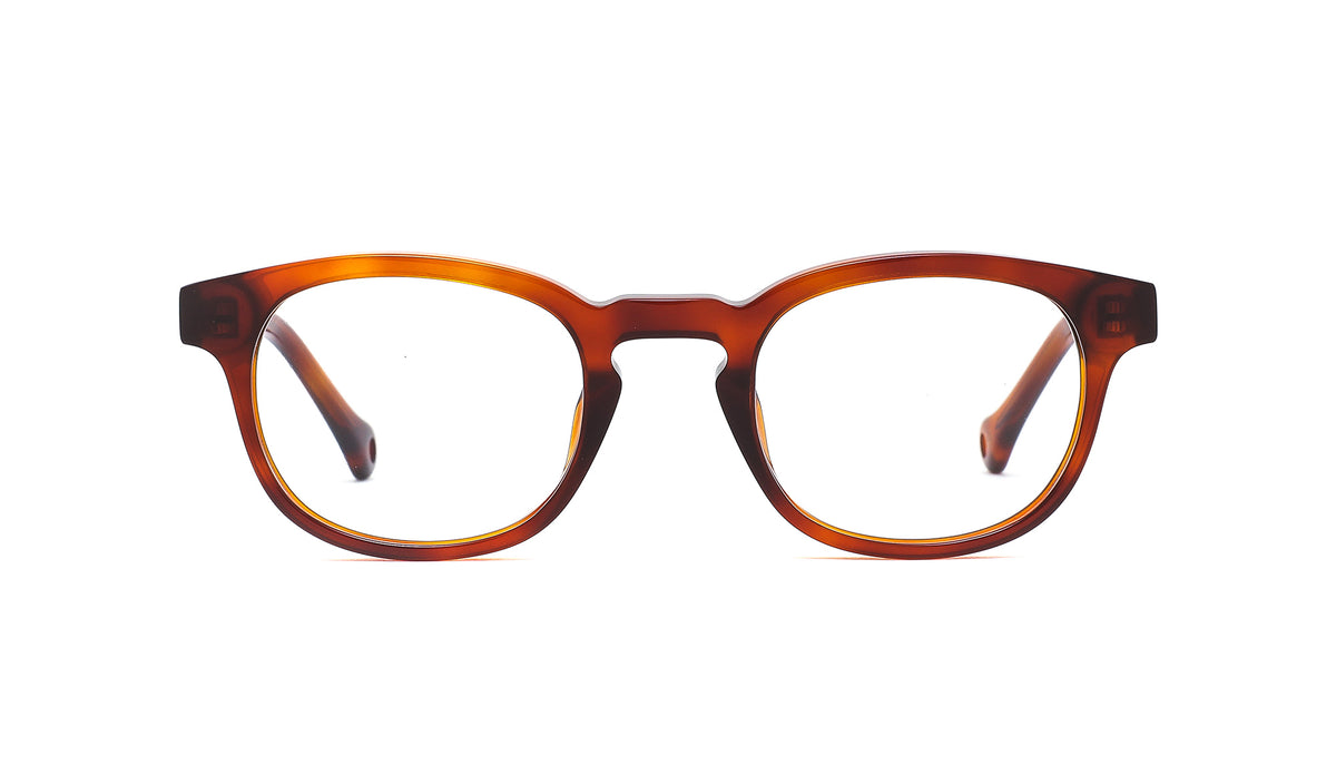 tortoise havana