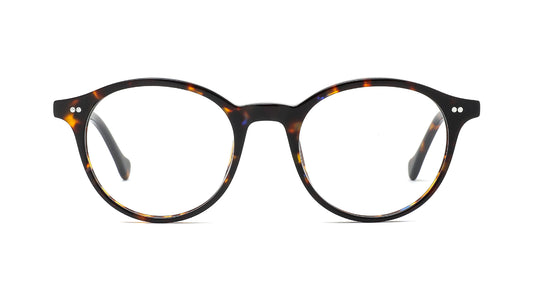 Olly - Óculos de Grau