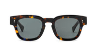 tortoise stelle com lente verde escuro