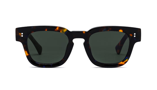 Tina - Óculos de Sol