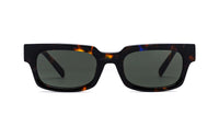 tortoise stelle