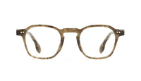 tortoise tizzo
