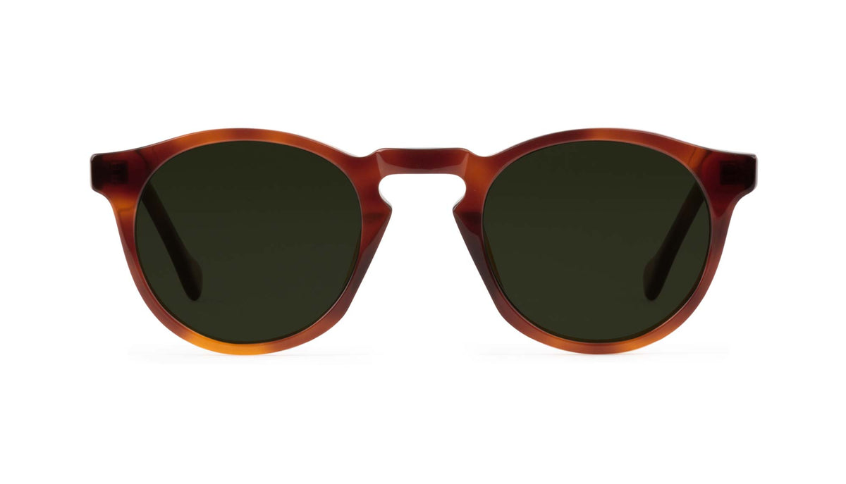 tortoise havana