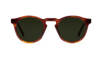 tortoise havana