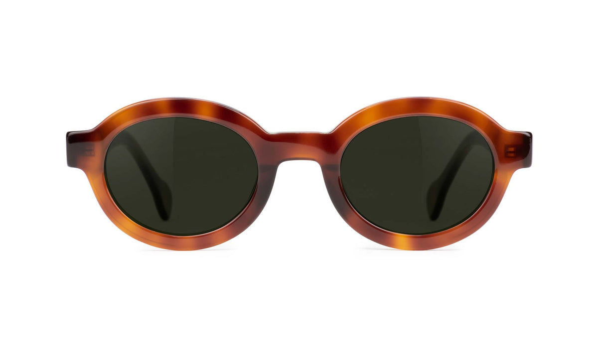 tortoise havana