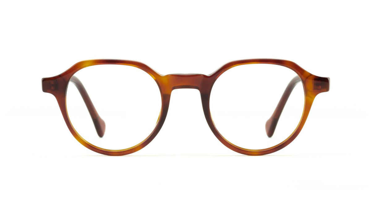 tortoise havana