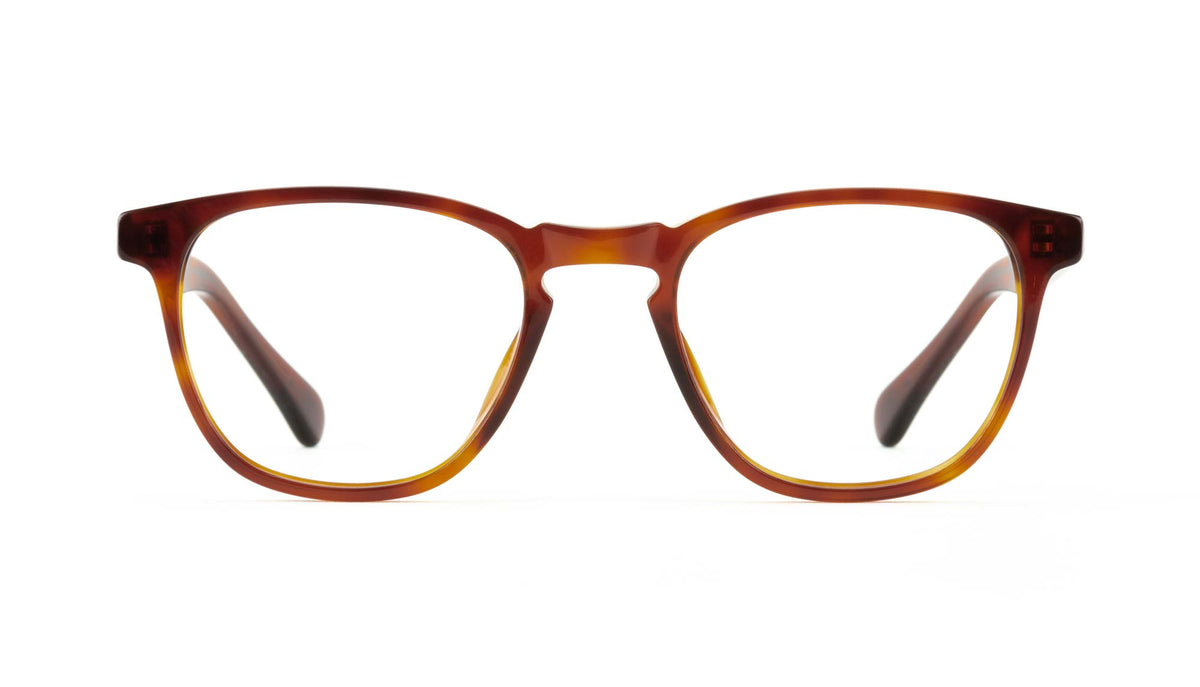 tortoise havana