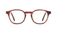 tortoise havana