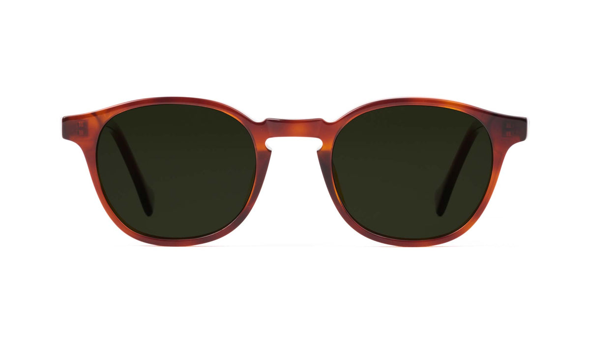 tortoise havana