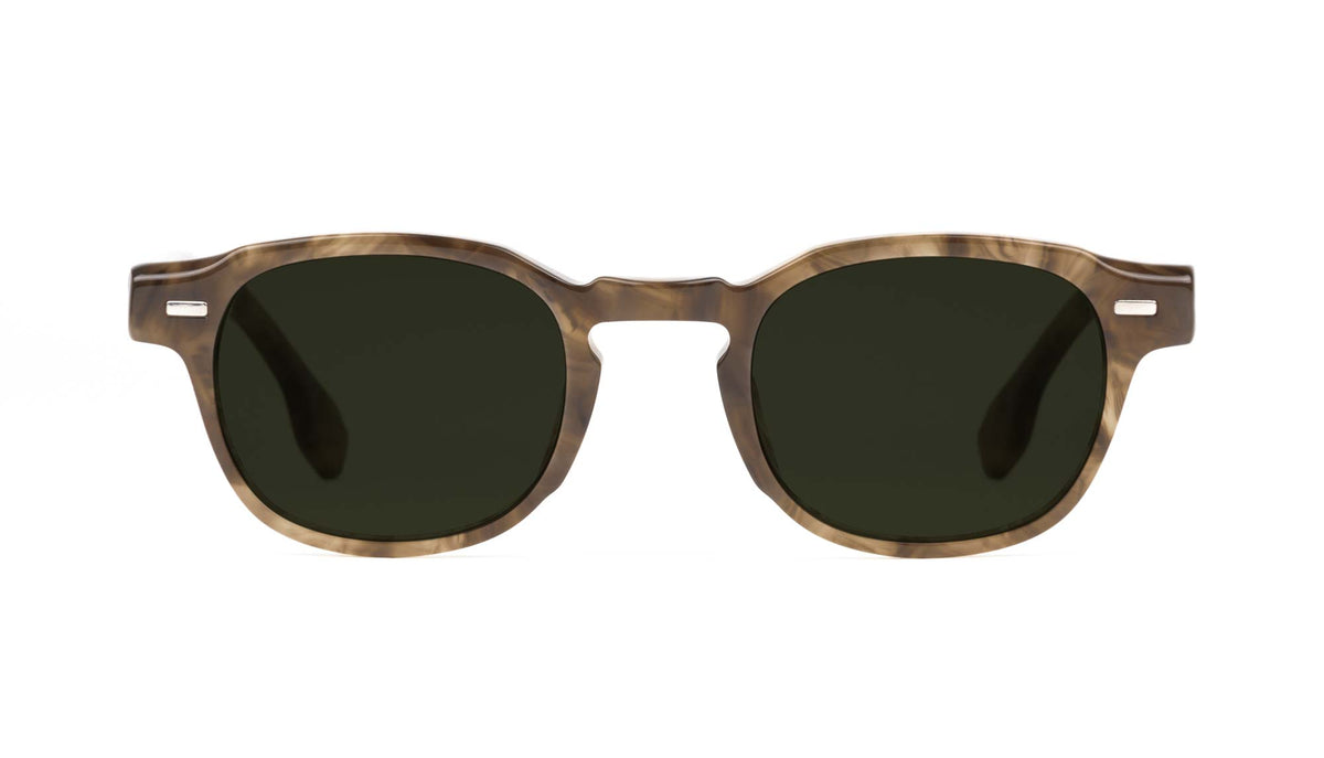 tortoise tizzo