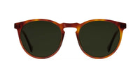 tortoise havana