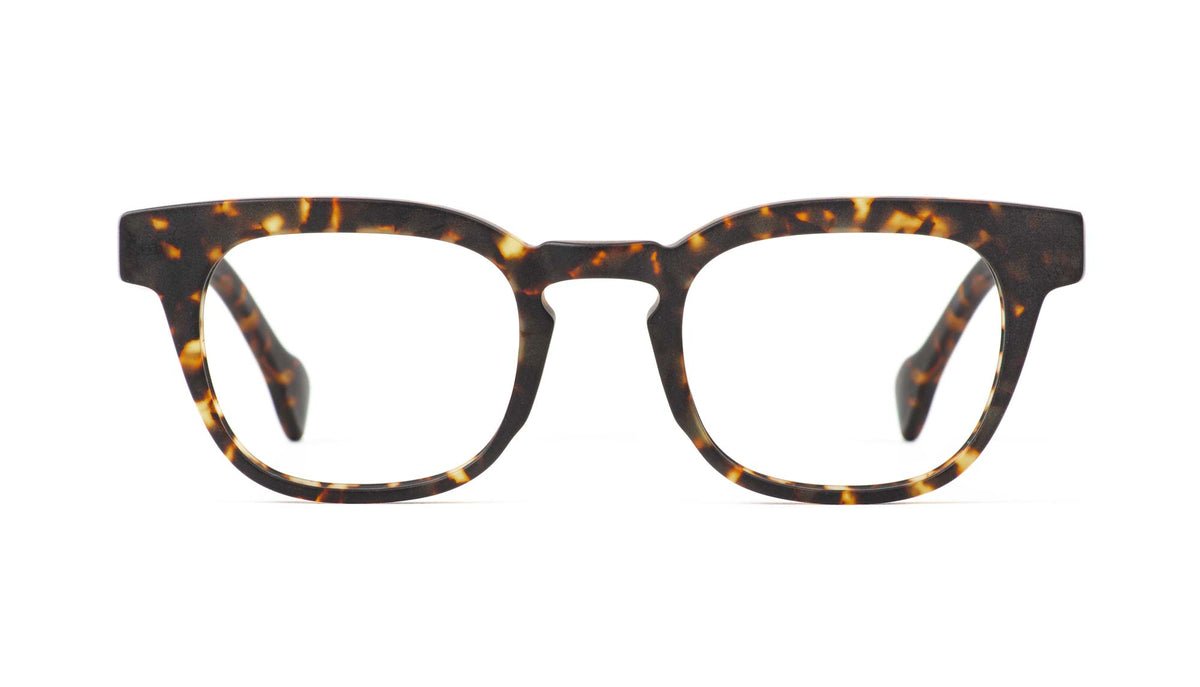 tortoise buio