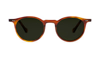 tortoise havana